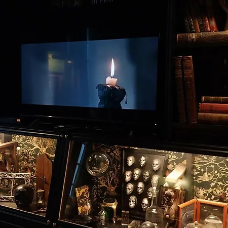 Domaine Des Sorciers - Harry Potter Apartment Nantes