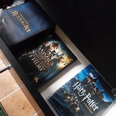 Apartamento Domaine Des Sorciers - Harry Potter Nantes